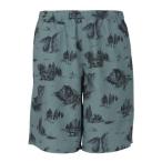 ザ・ノース・フェイス(THE NORTH FACE)(メンズ)ショートパンツ ショーツ ALOHA VENT SHORT NB42532 YN