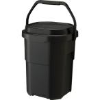 TRUNK CARGO(TRUNK CARGO) ведро cargo 22 GHON259