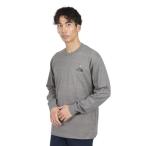 ザ・ノース・フェイス(THE NORTH FACE)(メンズ)長袖Tシャツ ロンT ロングスリーブ ズーピッカーTシャツ NT32533 SP