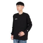 ザ・ノース・フェイス(THE NORTH FACE)(メンズ、レディース)長袖Tシャツ ロンT ロングスリーブファインアルパイン NT82537 K