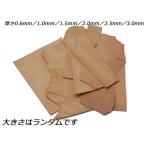 ミニ端革パック（サドルレザー） ナチュラル 合計約12デシ 0.6mm/1.0mm/1.5mm/2.0mm/2.5mm/3.0mm【メール便対応】 [