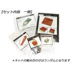 練習用キットパック（B級品）【メール便対応】 [レザークラフトぱれっと]  レザークラフト皮革キット