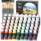 Color_54色 Shuttle Art アクリル絵の具 54色セット 筆12本付き 絵の具セット 大容量 60ml 速乾 耐水 耐久 伸びがいい 鮮やか メタリック 蛍光色 ボトル イラス