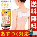 姿勢矯正ベルト/猫背矯正 ピーンと背筋ベルト