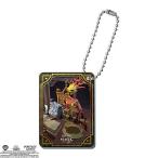 【デザインN】ハリー・ポッター：魔法の覚醒 アクリルチャーム