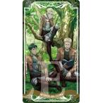 進撃の巨人アルカナカードコレクション