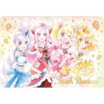 【[箔押し仕様] 19.フレッシュプリキュア！ (SSR) 】 プリキュアカードウエハース9