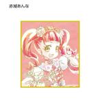 【赤城あんな】キラッとプリ☆チャン トレーディングAni-Art 色紙