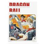 [J.bruma& Monkey King ( visual сиденье :A3 размер ) ] самый жребий Dragon Ball EX Monkey King . индустрия сборник [ б/у ]