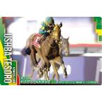 【No.2-004.ウシュバテソーロ 第