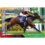 【No.2-012.シュネルマイスター 