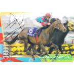 【[金色箔押し仕様] No.2-029.