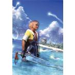 【ティーダ】ファイナルファンタジーX クリアヴィジュアルカードセット