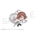 【一方通行 (アクセラレータ) ＆打ち止め (ラストオーダー) 】とある魔術の禁書目録III てれっこアクリルキーホルダー