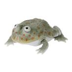 [ba jet ga L ( темный )]. кимоно большой иллюстрированная книга reptiba jet ga L .tsunoga L 