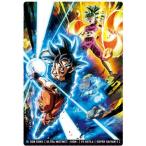 イタジャガドラゴンボールvol.10