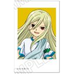 【アフロディ】イナズマイレブン ミニフォトカードコレクション Vol.1