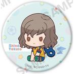 【神童拓人】イナズマイレブンGO ぺたっと ねじまきかんばっじ