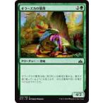 マジックザギャザリング MTG RIX JP 140 オラーズカの襞背(日本語版コモン)【新品】