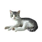 【サバトラ白】 ART IN THE POCKETシリーズ 森口修の猫 フィギュアマスコット -新色-