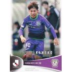 Jリーグオフィシャルトレーディングカード 196 金子翔