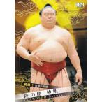 BBM 2025 大相撲カード 19 隆の勝 伸明 前頭 (レギュラーカード)
