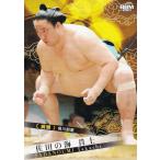 ショッピング大相撲 BBM 2025 大相撲カード 32 佐田の海 貴士 前頭 (レギュラーカード)