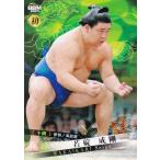 BBM 2025 大相撲カード 67 若碇 成剛(初) 十両 (レギュラーカード)
