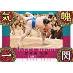 BBM 2025 大相撲カード 73 豊