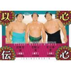 BBM 2025 大相撲カード 75 若元春/若隆景/若隆元 (サブセットカード/縁起物/以心伝心)