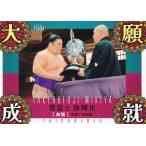 ショッピング大相撲 BBM 2025 大相撲カード 81 尊富士 弥輝也 (サブセットカード/縁起物/大願成就)