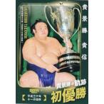 BBM 2025 大相撲カード 83 貴景勝 貴信 (サブセットカード/貴景勝の軌跡/初優勝)