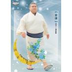 BBM 2025 大相撲カード 14 高安 晃 前頭 (レギュラーカード) 「和」-NAGOMI-