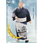 BBM 2025 大相撲カード 20 正代 直也 前頭 (レギュラーカード) 「和」-NAGOMI-