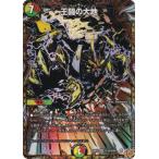 【シークレットレア】デュエルマスターズ DM25RP2 秘15/秘24 王闘の大地 (VR ベリーレア) (DM25-RP2)