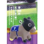 【イクイノックス 第166回 天皇賞(秋