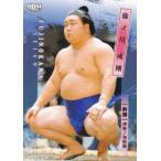 BBM 2026 大相撲カード 30 藤ノ川 成剛 前頭 (レギュラーカード)