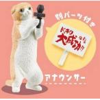 【アナウンサー】にゃんこチャンネル