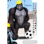 [ футбольный мяч . Gorilla ]goli ранец 2 эмблема фигурка 