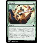 マジックザギャザリング BLB JP 0182 長茎の乱闘 (日本語版 コモン) ブルームバロウ (MTG)