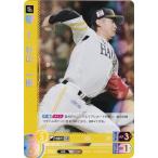 【パラレル】ドリームオーダー BP01-