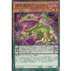 ショッピングフォリフォリ 遊戯王 DIFO-JP018 捕食植物ブフォリキュラ (日本語版 ノーマル) ディメンション・フォース