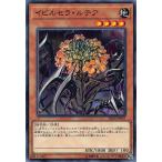 遊戯王 IGAS-JP027 イビルセラ・ルテア (日本語版 ノーマル) イグニッション・アサルト