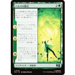 マジックザギャザリング MSC JP 0728 ハルクの原点 (日本語版 アンコモン) (MTG)