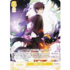 ヴァイスシュヴァルツ