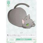 ヴァイスシュヴァルツ