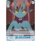 ヴァイスシュヴァルツ