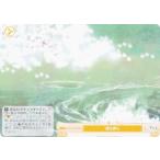 ヴァイスシュヴァルツ