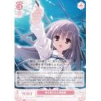 ヴァイスシュヴァルツ