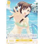 ヴァイスシュヴァルツ